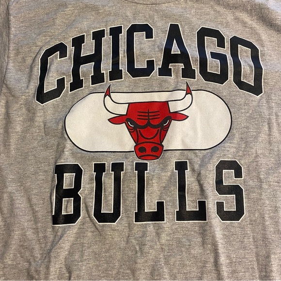 Champion Chicago Bulls T-Shirt Unisex Extra Large Gray NBA NWOT Short Sleeve - Picture 2 of 7